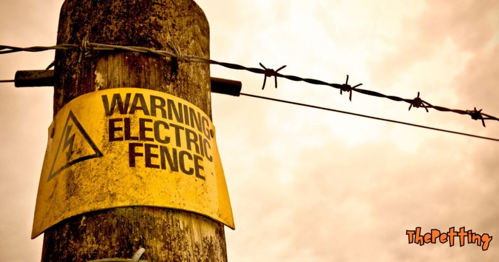 Electric Fence for Dogs